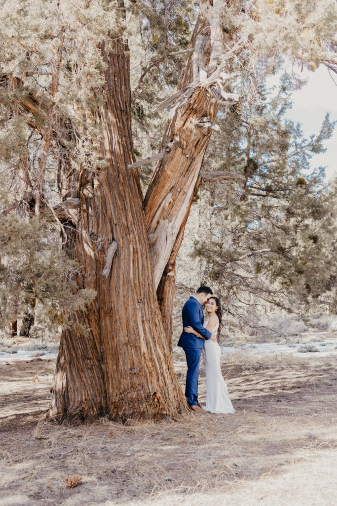 Big Bear Lake Wedding Photography | Thea LImon