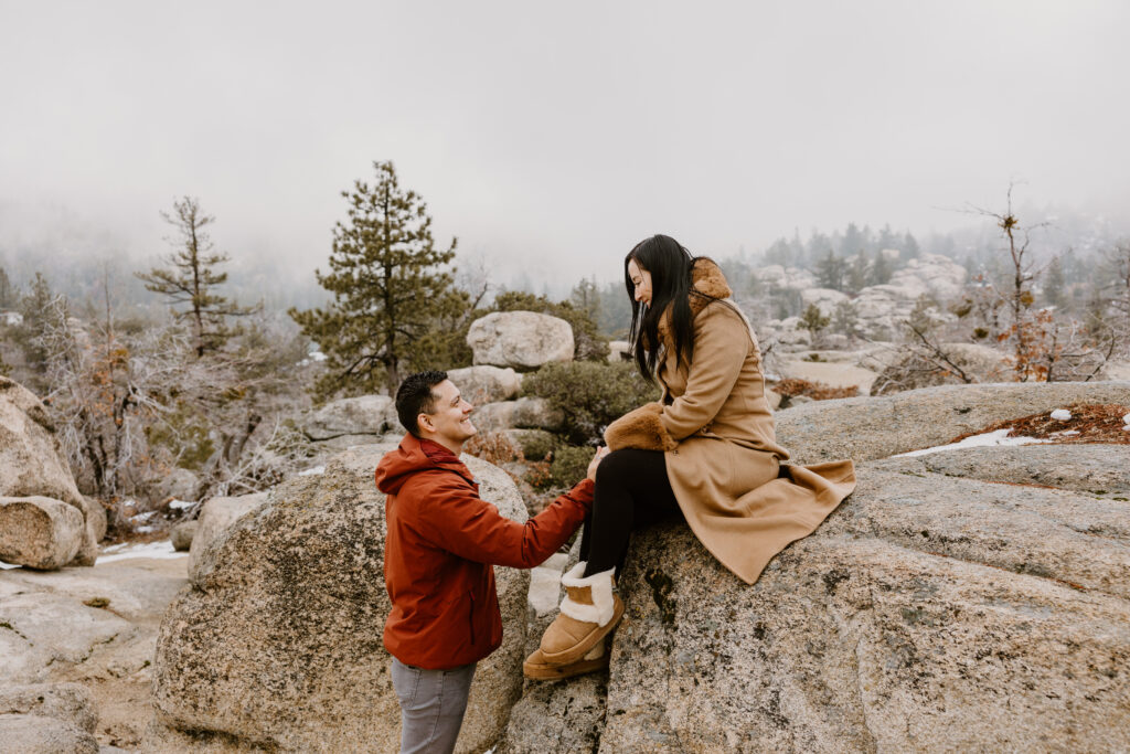 big bear couple together on top of a rock with a beautiful view behind them