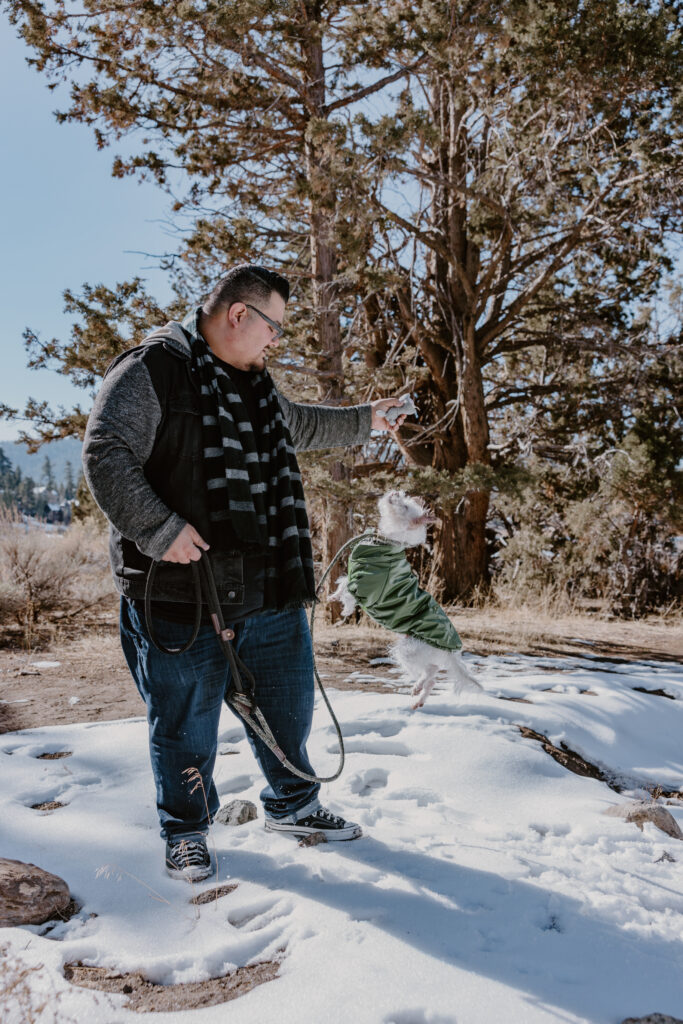 big bear lake snow