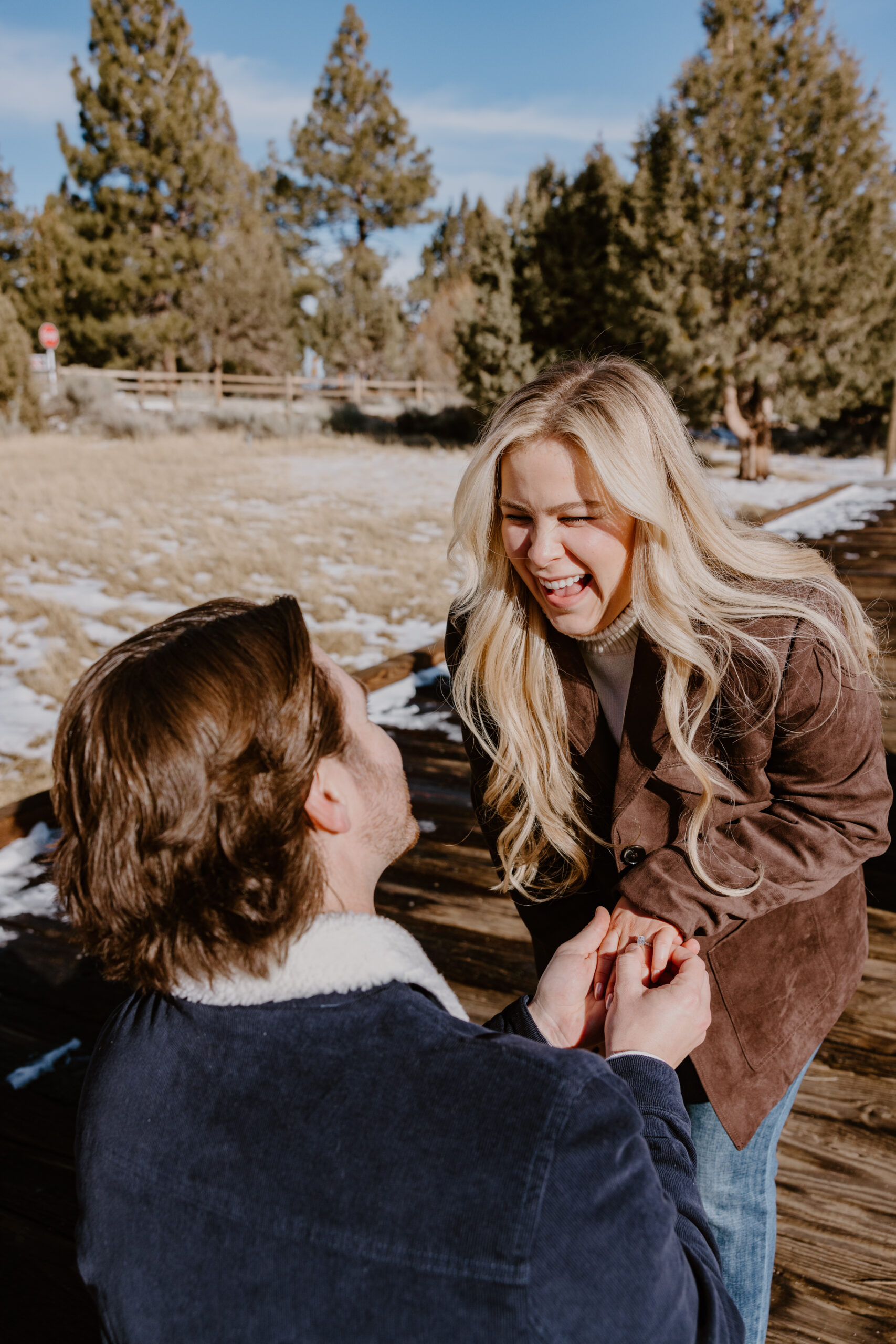 proposal big bear photos