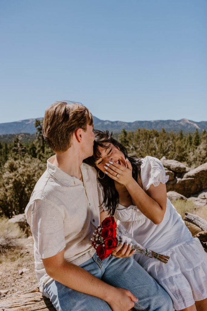 Proposal Big Bear
